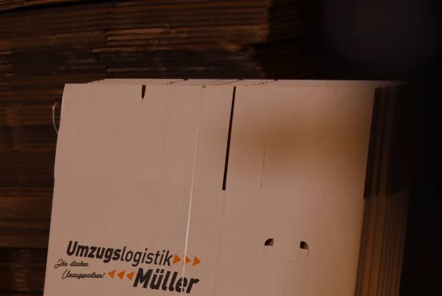 Günstiger Behördenumzug Langenbernsdorf